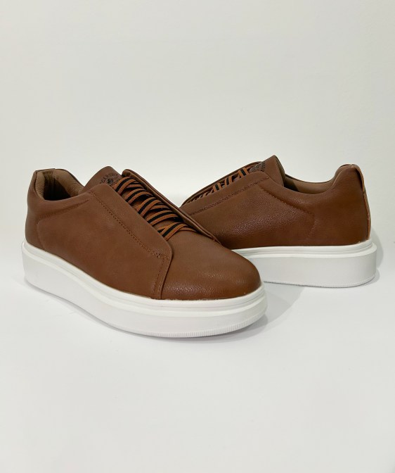 1. Y258 camel